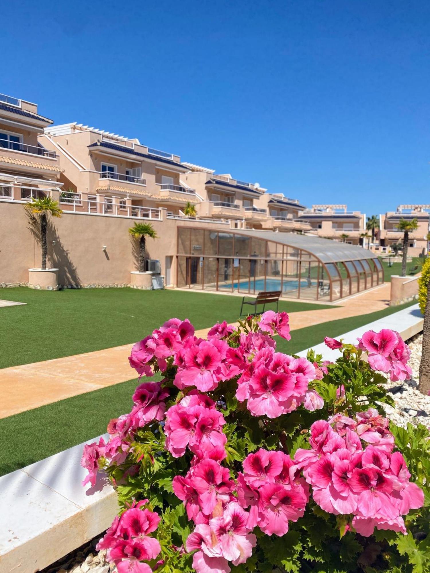 Apartments Punta Prima Indoor & Outdoor Pool Torrevieja Dış mekan fotoğraf
